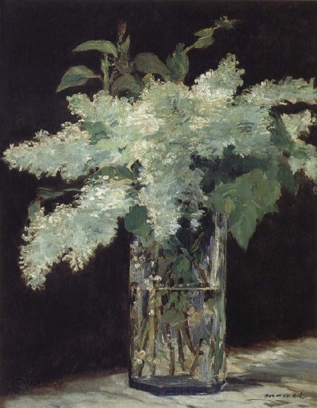 Edouard Manet White Lilac Norge oil painting art